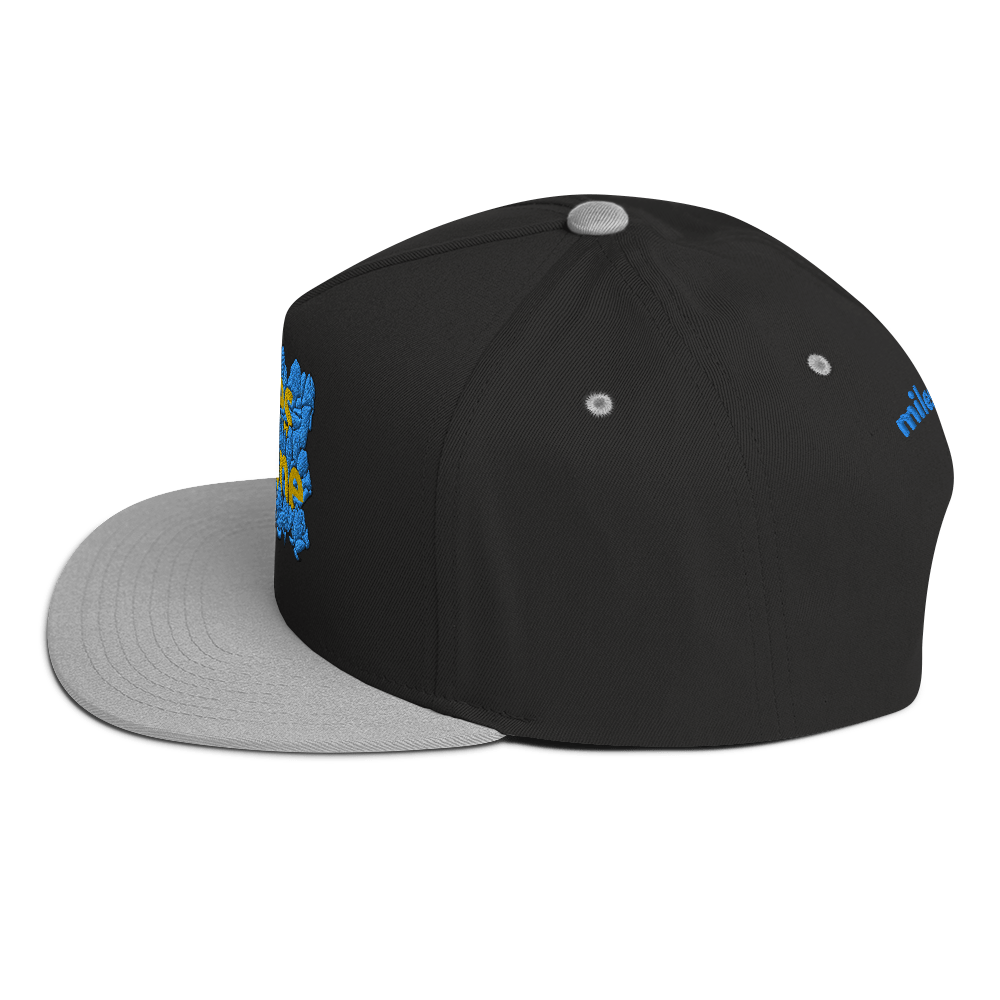 AE Limited Flat Bill Cap 2