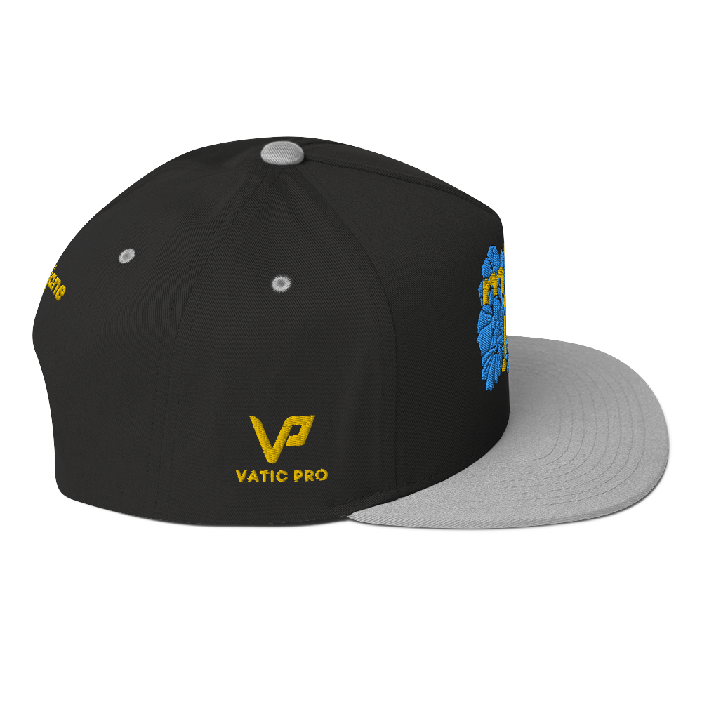 AE Limited Flat Bill Cap 2