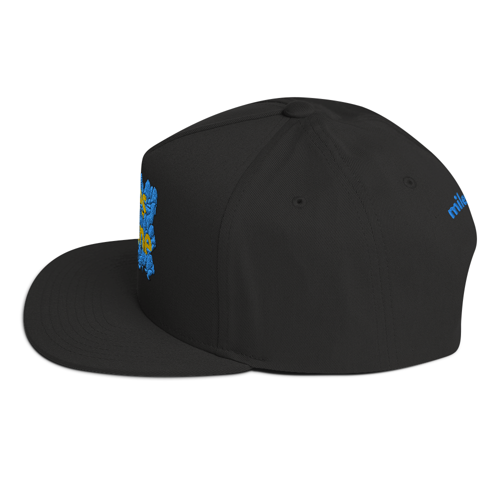 AE Limited Flat Bill Cap 2