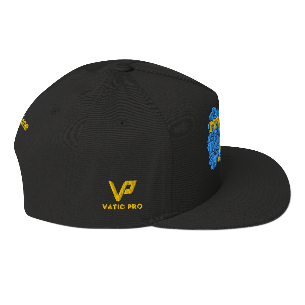 AE Limited Flat Bill Cap 2