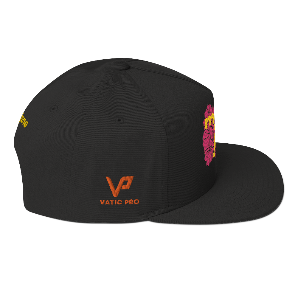 AE Limited Flat Bill Cap 3