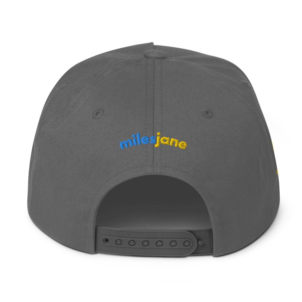 AE Limited Flat Bill Cap 2