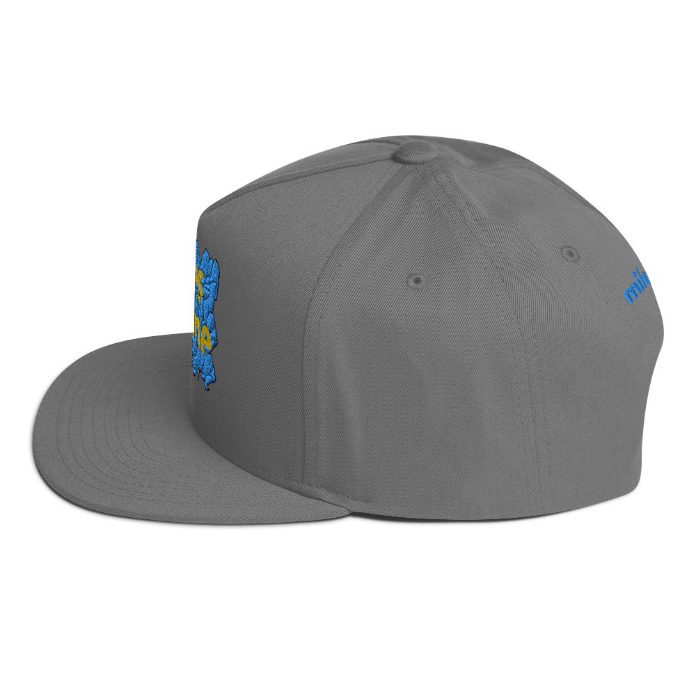 AE Limited Flat Bill Cap 2