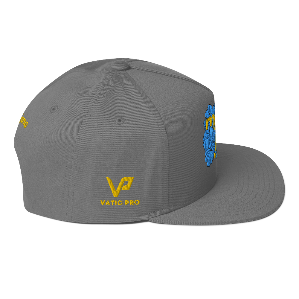 AE Limited Flat Bill Cap 2