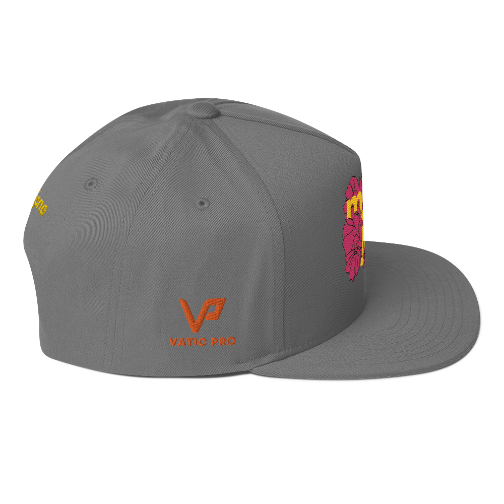 AE Limited Flat Bill Cap 3