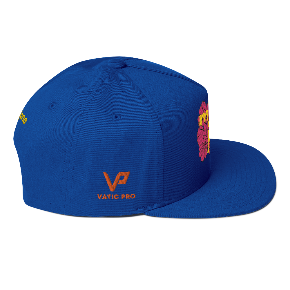 AE Limited Flat Bill Cap 3
