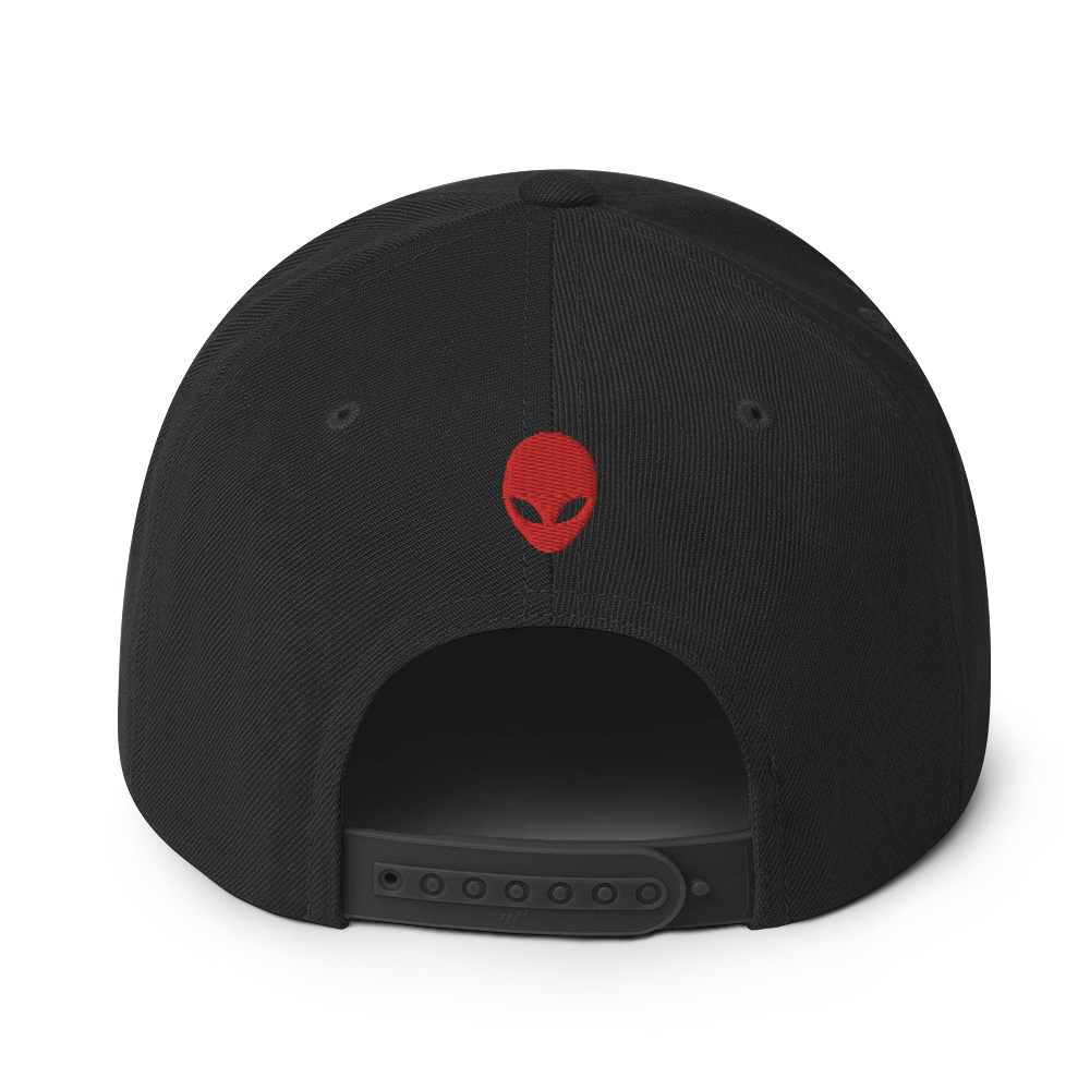 Ltd. Ed. MJ UFO#2 - Flat Billed - Yupoong Snapback