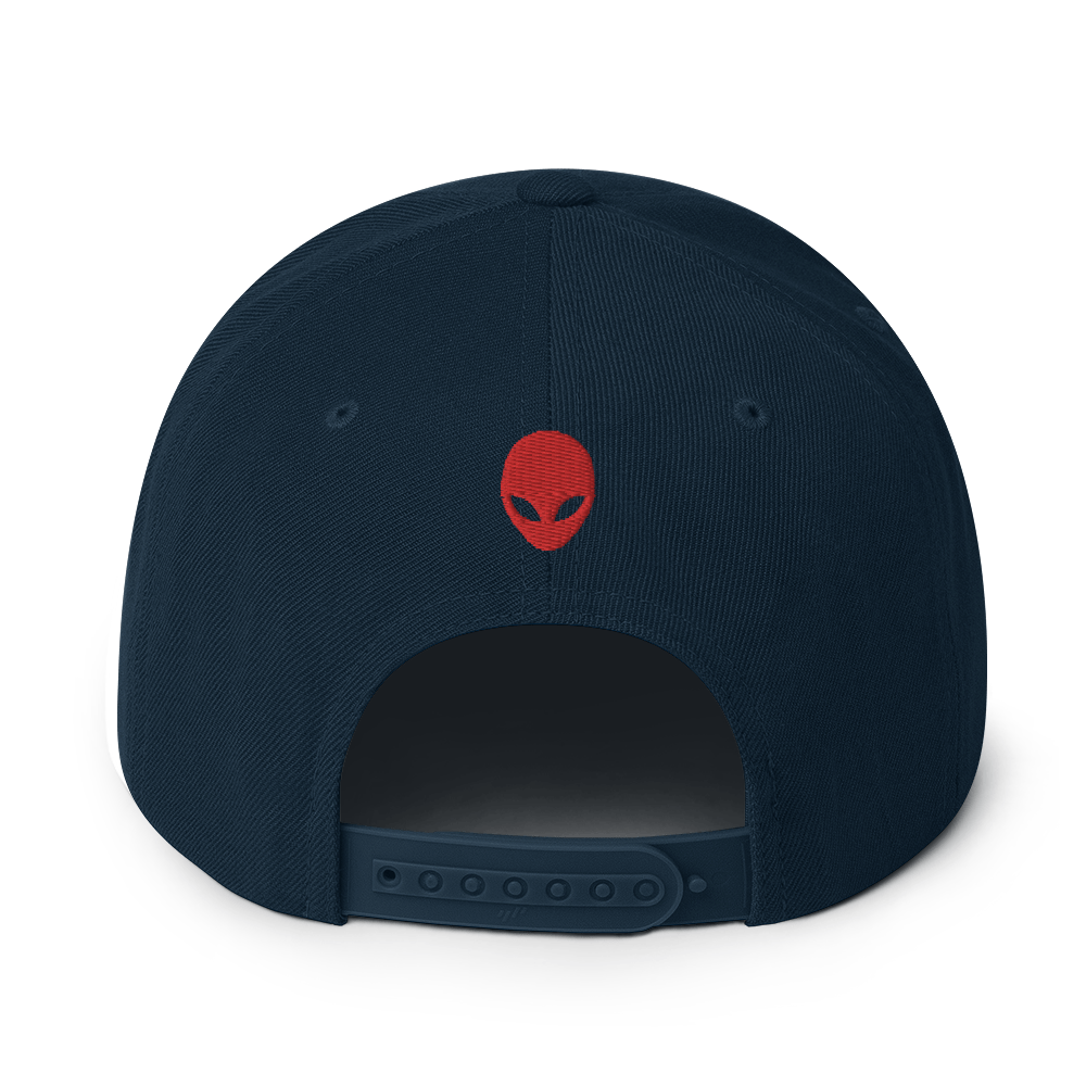 Ltd. Ed. MJ UFO#2 - Flat Billed - Yupoong Snapback
