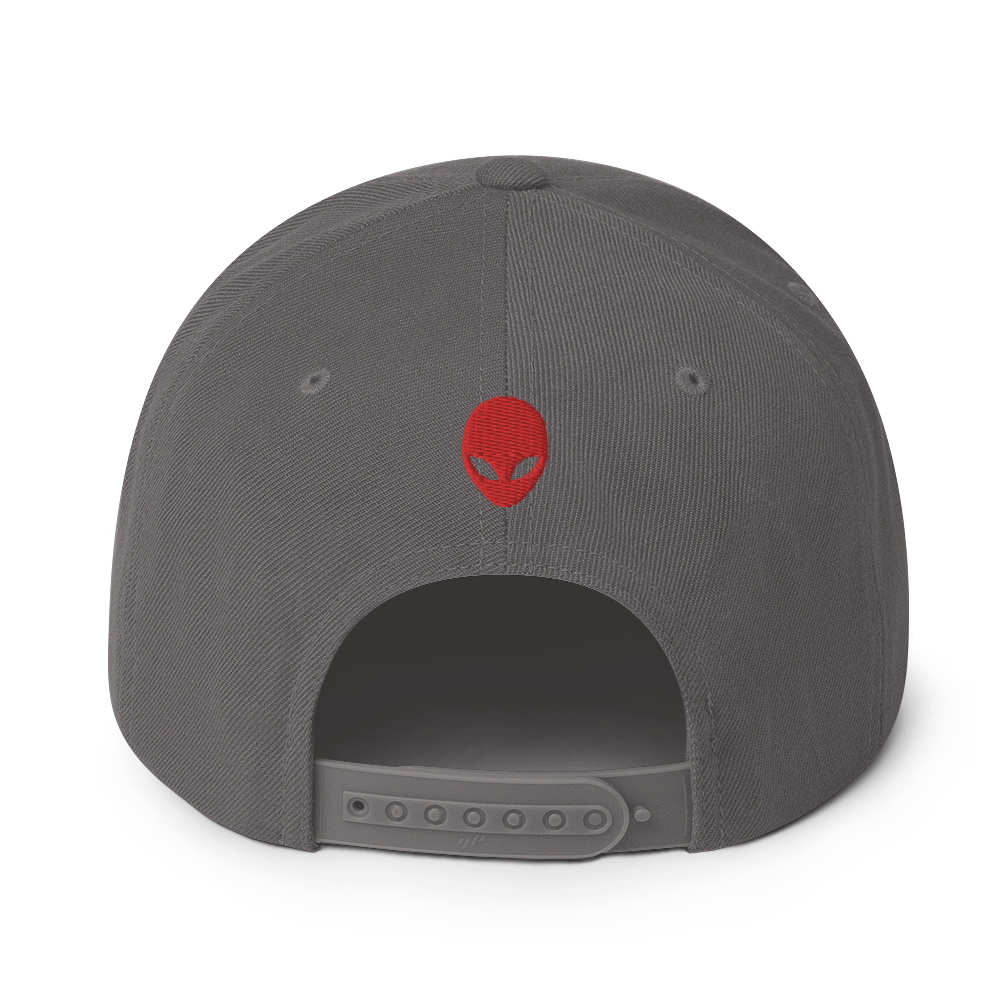 Ltd. Ed. MJ UFO#2 - Flat Billed - Yupoong Snapback